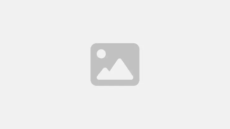Placeholder landscape